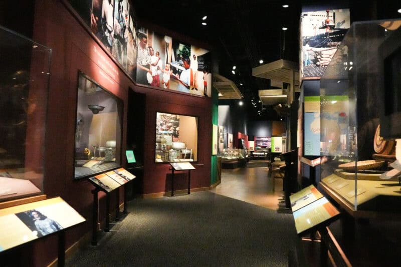 Museum exhibit corridor lined with illuminated panels and glass display cases