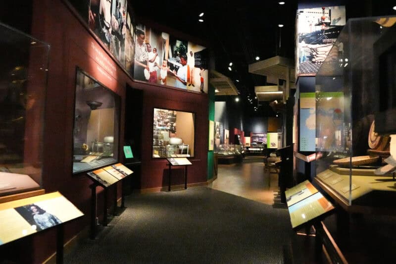 Dark museum exhibit corridor with illuminated wall panels and glass display cases