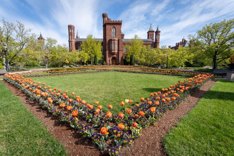 Smithsonian Castle's red sandstone towers rising above a tulip-lined garden lawn