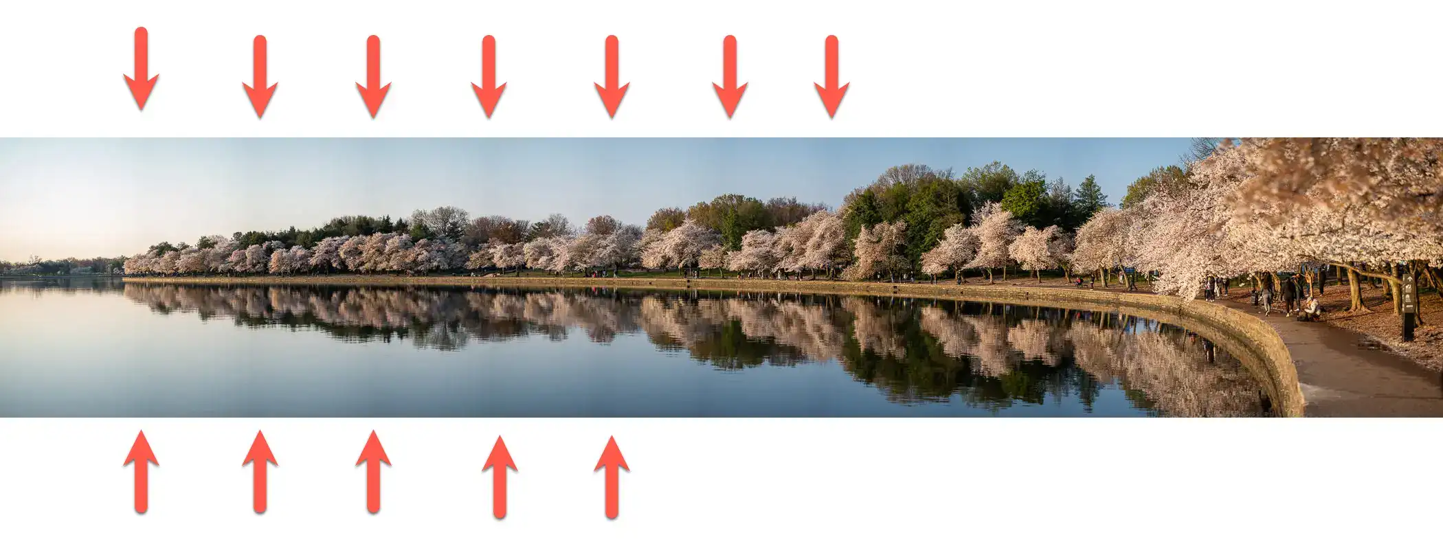 Example of a stitched panorama with banding caused by lens vignetting on the individual tiles