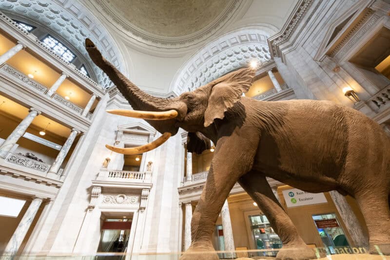 Nikon D850 Sample Image. Photo by David Coleman - havecamerawilltravel.com