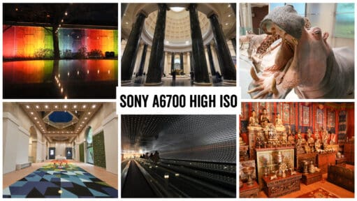 Sony a6700 High ISO Sample Images Header Collage