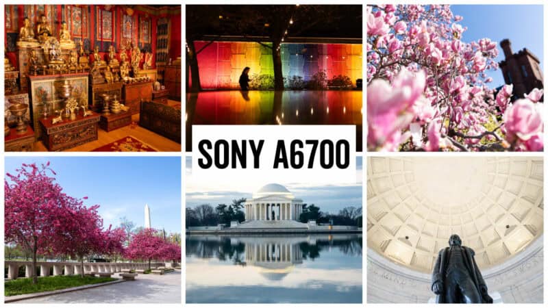 Sony a6700 sample images