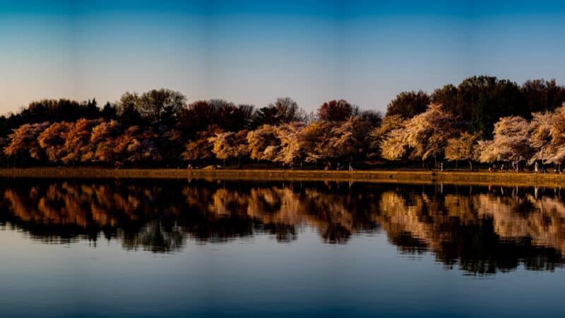 How to Deal with Lens Vignetting When Stitching Panoramas