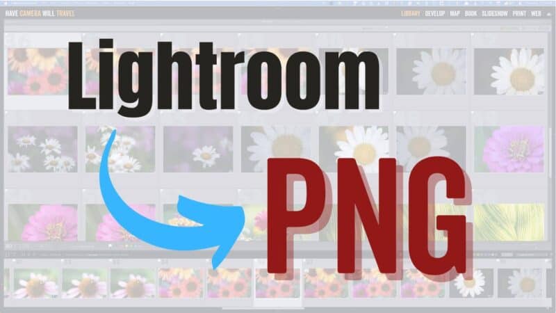 How to Export PNG Files From Lightroom Classic (and When You Should)