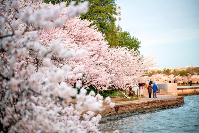 . Photo by David Coleman - havecamerawilltravel.com