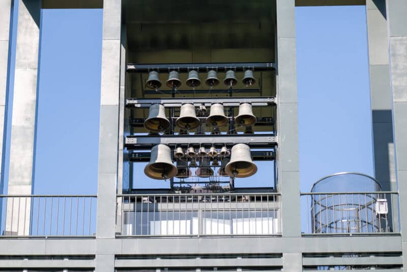 Nikon Z 180-600mm f/5.6-6.3 VR Zoom Range Sample Image. Photo by David Coleman - havecamerawilltravel.com