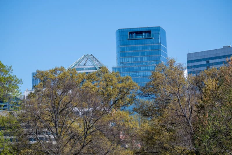 Nikon Z 180-600mm f/5.6-6.3 VR Zoom Range Sample Image. Photo by David Coleman - havecamerawilltravel.com