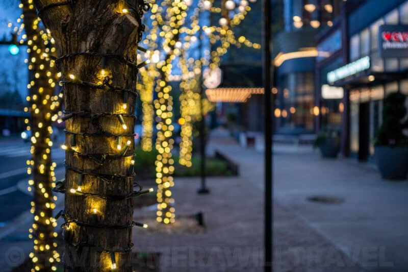 Viltrox AF 27mm f1.7 Lens Sample Image. Photo by David Coleman - havecamerawilltravel.com