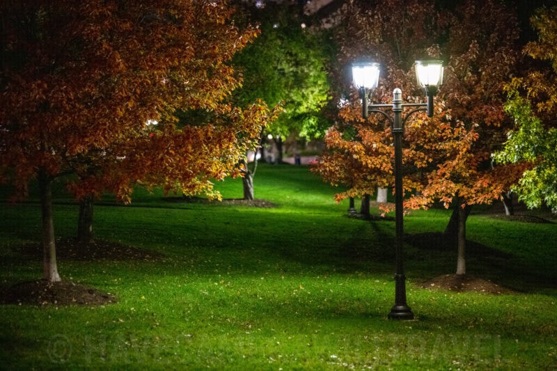 . Photo by David Coleman - havecamerawilltravel.com