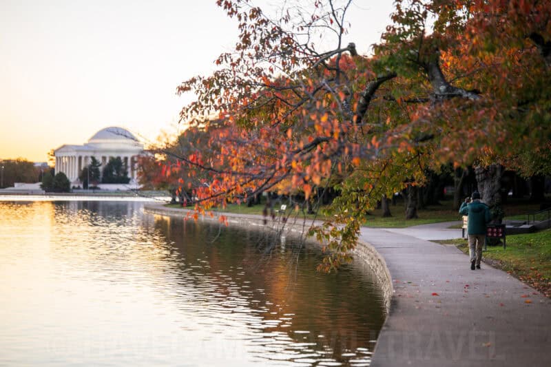 Fall Colors At Tidal Basin Washington DC. Photo by David Coleman - havecamerawilltravel.com