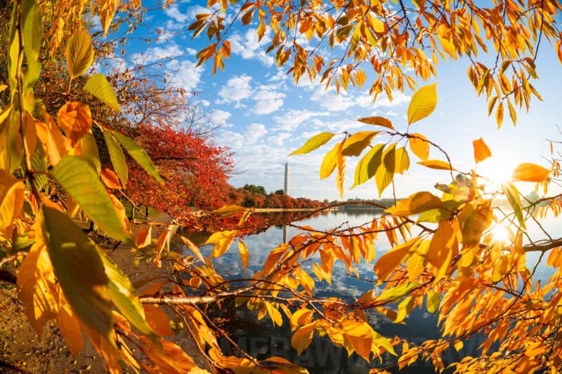 . Photo by David Coleman - havecamerawilltravel.com