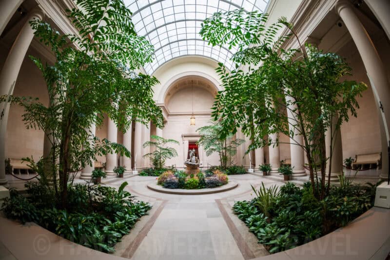 Fisheye view of a plant-filled courtyard with a central fountain at the National Gallery of Art