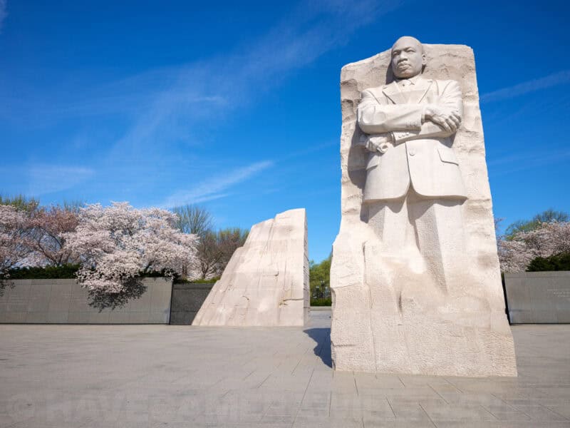 Martin Luther King Jr Memorial statue with arms crossed beside blooming cherry trees