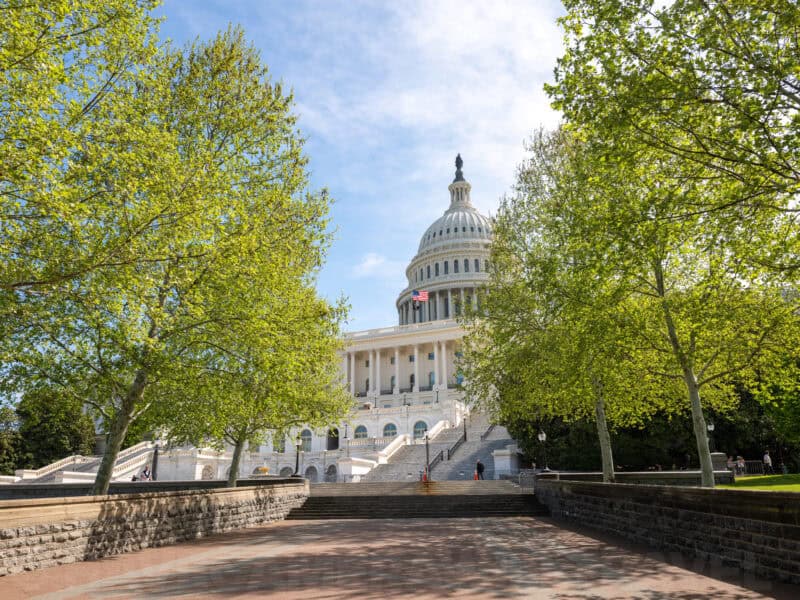 United States Capitol dome framed between two rows of leafy green trees