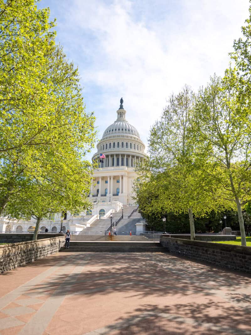 United States Capitol dome framed by fresh green spring trees along a garden path