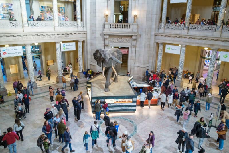 Smithsonian Natural History Museum. Photo by David Coleman - havecamerawilltravel.com
