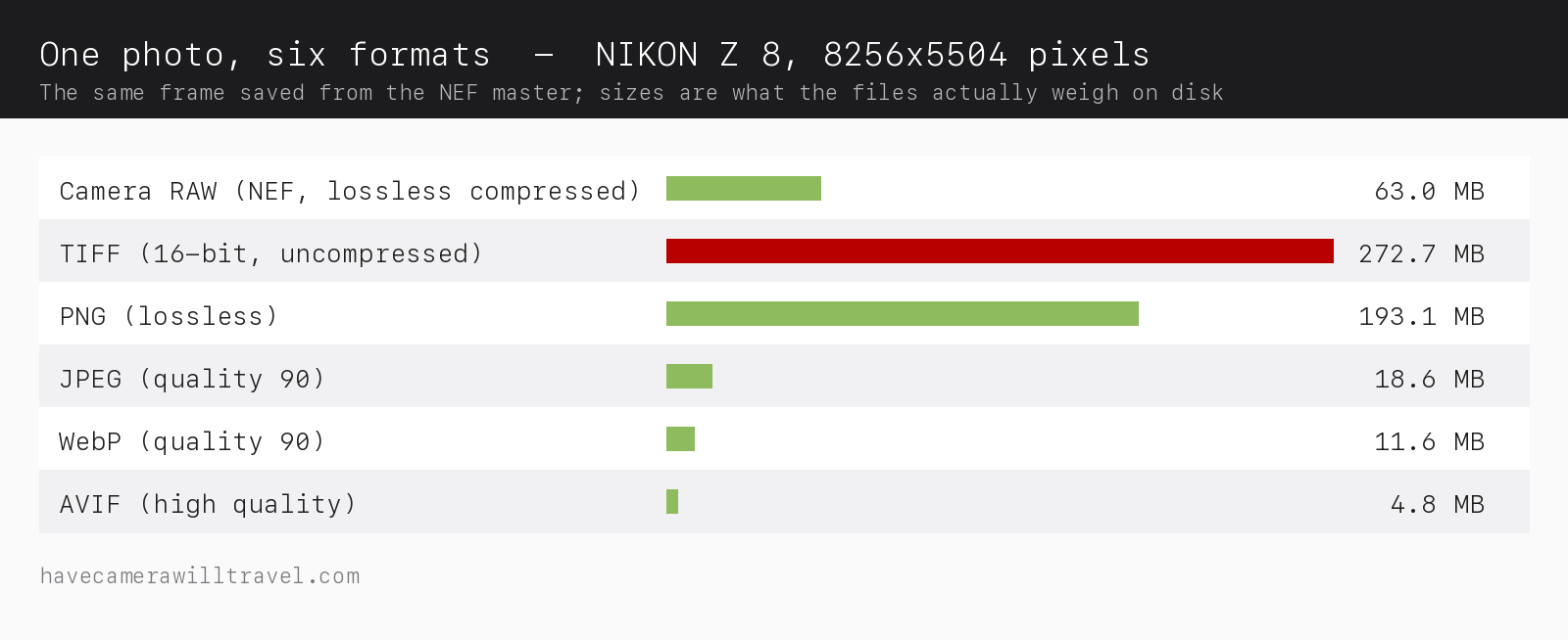 Chart of one Nikon Z8 photo saved in six image formats with real file sizes: 63 MB NEF, 273 MB 16-bit TIFF, 193 MB PNG, 18.6 MB JPEG, 11.6 MB WebP, 4.8 MB AVIF