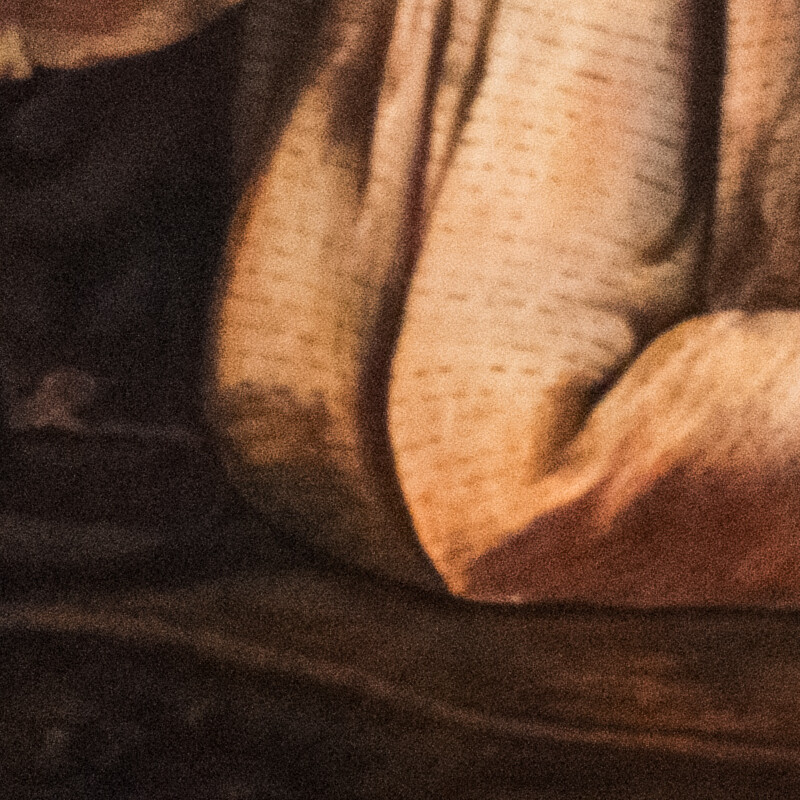 100% crop (detail) of a Ricoh GR II RAW image before DxO PureRAW processing