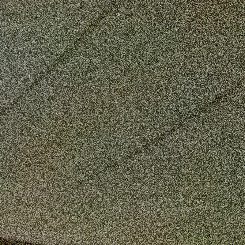 100% crop (corner) of a Ricoh GR II RAW image before DxO PureRAW processing