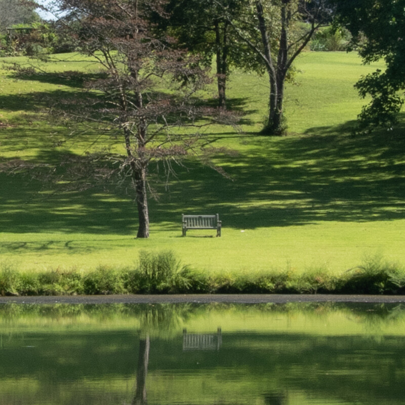 100% crop (center) of a Sony RX100 VII RAW image before DxO PureRAW processing