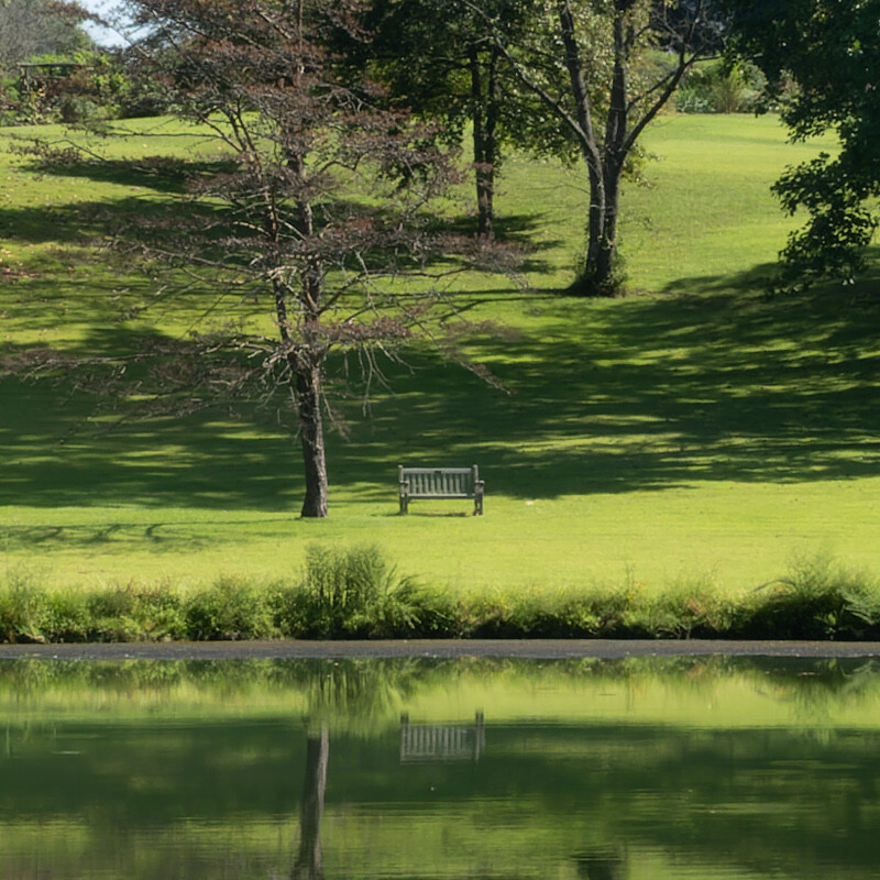 100% crop (center) of a Sony RX100 VII RAW image processed with DxO PureRAW (DeepPRIME)