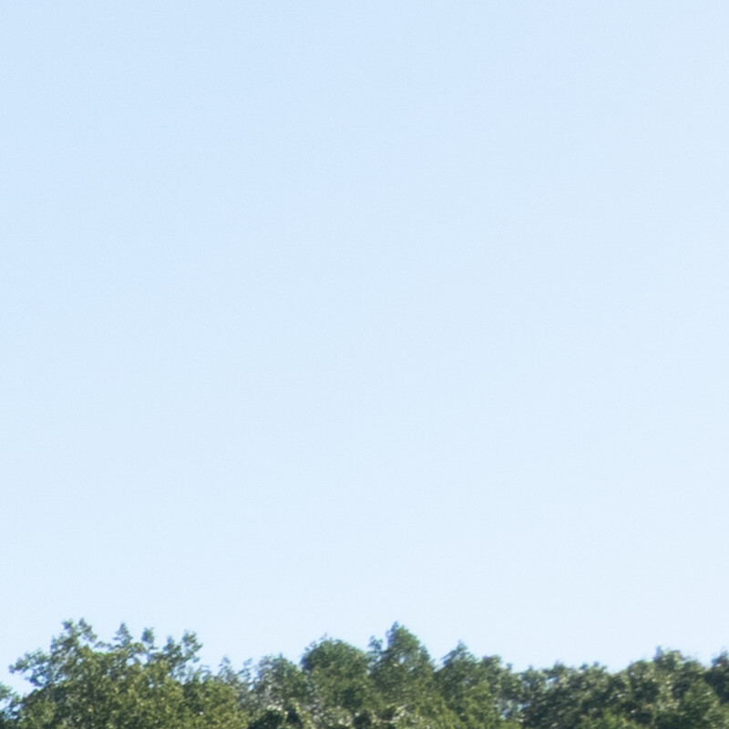 100% crop (corner) of a Sony RX100 VII RAW image before DxO PureRAW processing