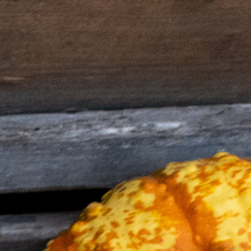 100% crop (corner) of a Sony RX100 VII RAW image before DxO PureRAW processing