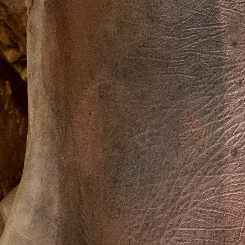 100% crop (center) of a Sony RX100 VII RAW image before DxO PureRAW processing