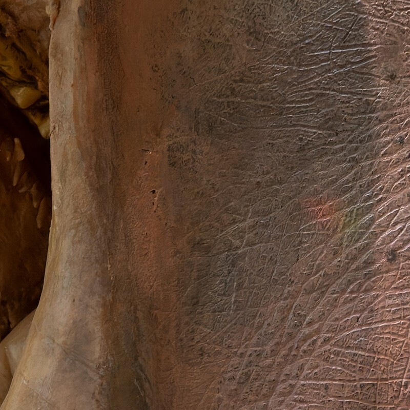 100% crop (center) of a Sony RX100 VII RAW image processed with DxO PureRAW (DeepPRIME)