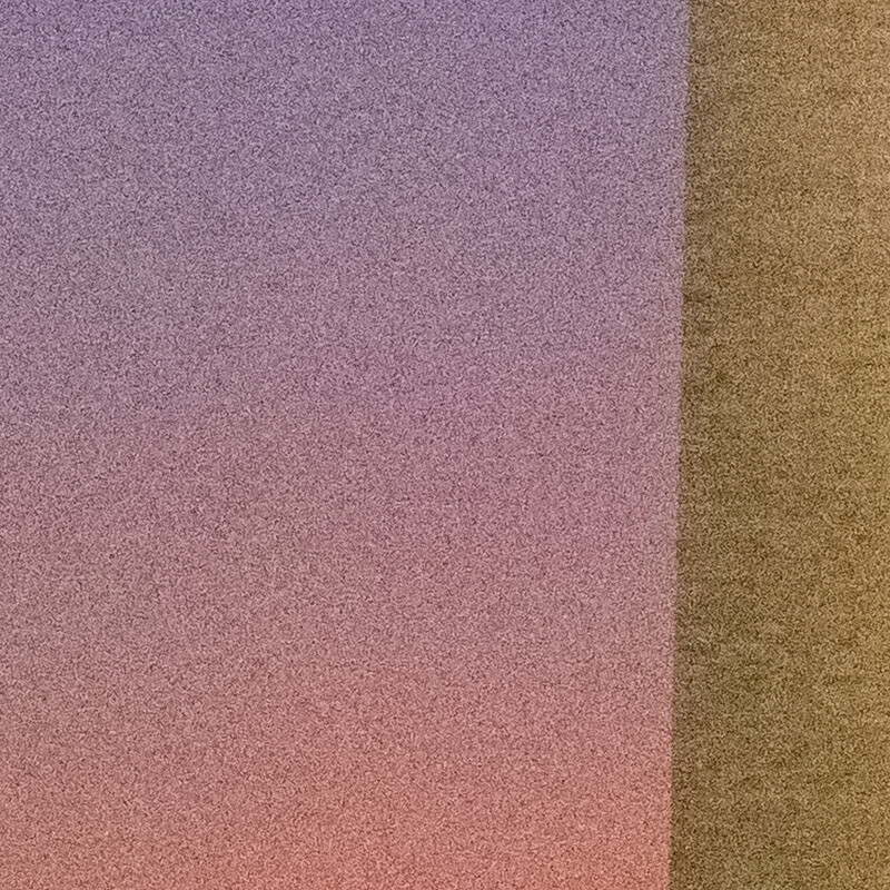 100% crop (center) of a Sony RX100 VII RAW image before DxO PureRAW processing