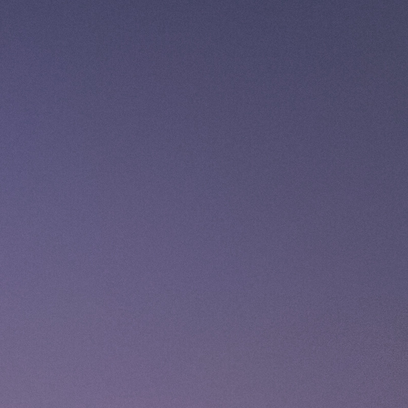 100% crop (corner) of a Sony RX100 VII RAW image processed with DxO PureRAW (DeepPRIME)