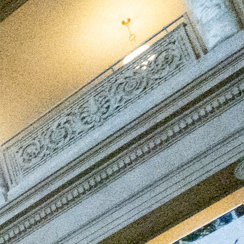 100% crop (corner) of a Sony RX100 VII RAW image before DxO PureRAW processing