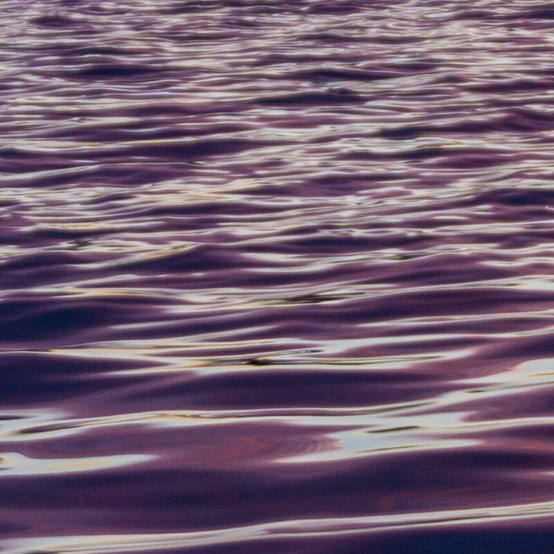 100% crop (detail) of a Sony a6000 RAW image before DxO PureRAW processing