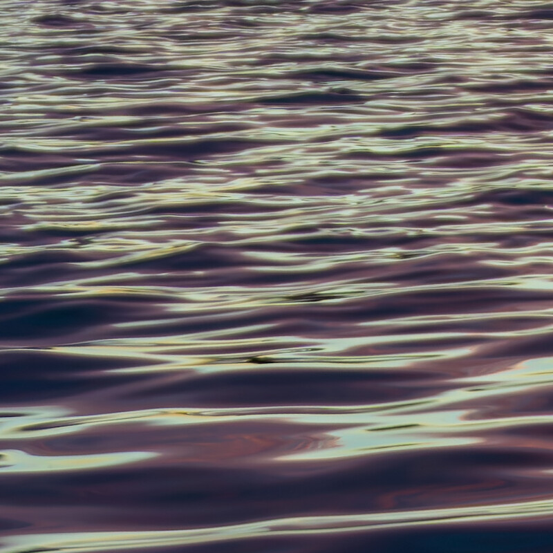 100% crop (detail) of a Sony a6000 RAW image processed with DxO PureRAW (DeepPRIME)