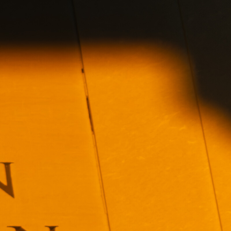 100% crop (corner) of a Sony a6000 RAW image processed with DxO PureRAW (DeepPRIME)
