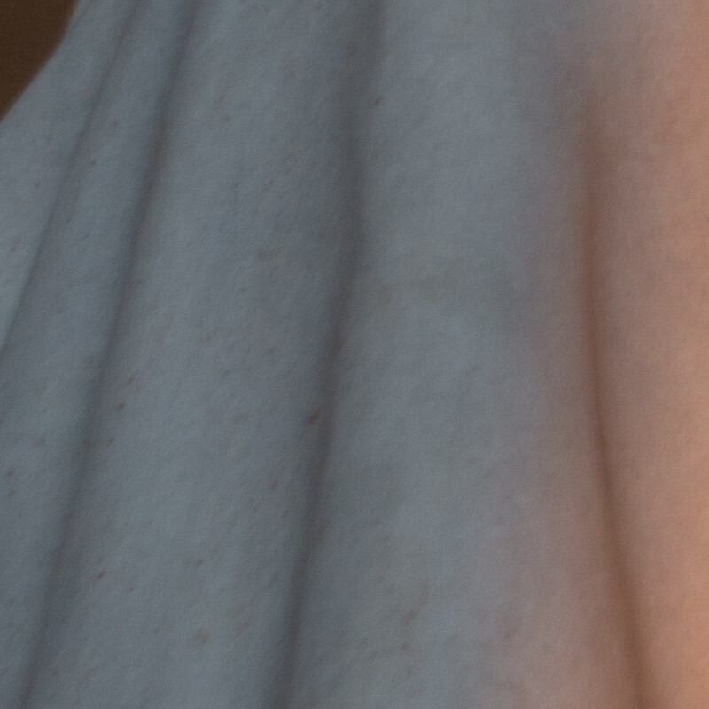 100% crop (detail) of a Sony a6000 RAW image before DxO PureRAW processing
