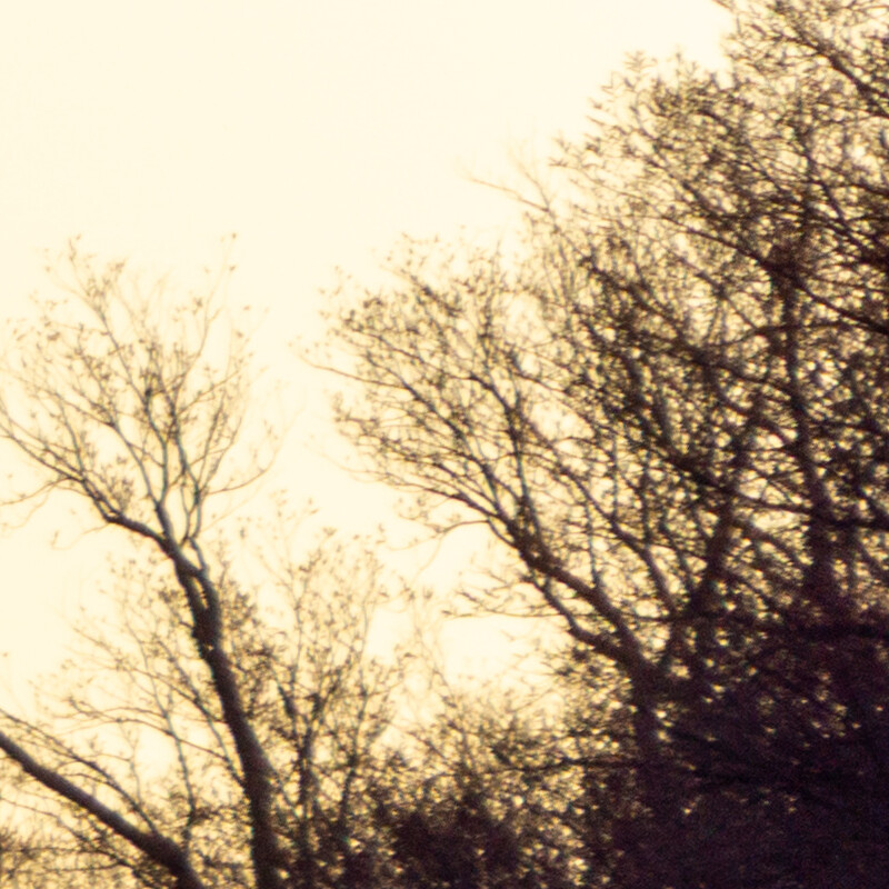 100% crop (corner) of a Sony a6000 RAW image before DxO PureRAW processing