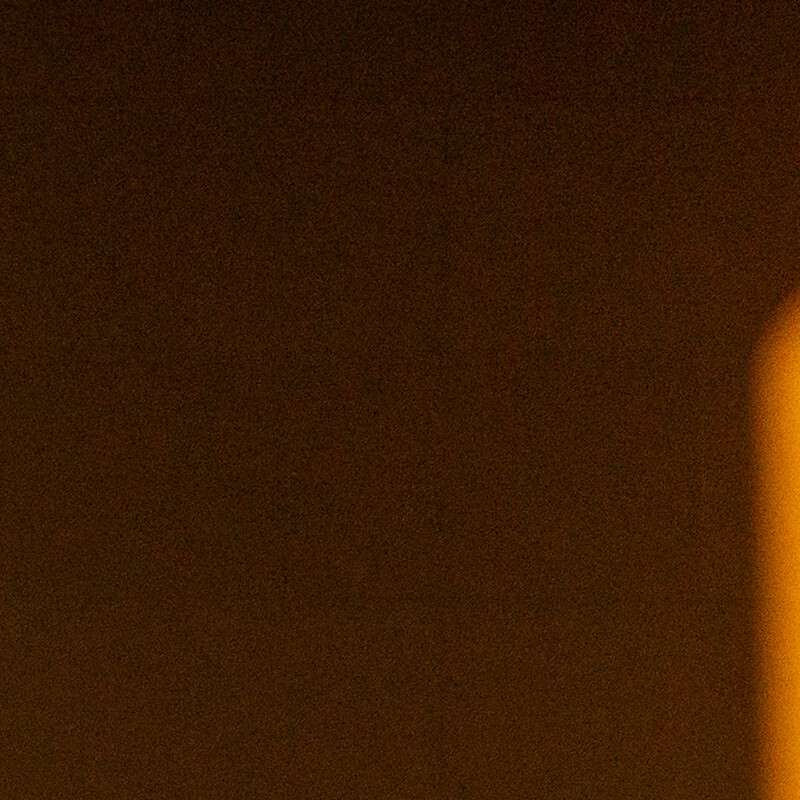 100% crop (corner) of a Sony a6000 RAW image before DxO PureRAW processing