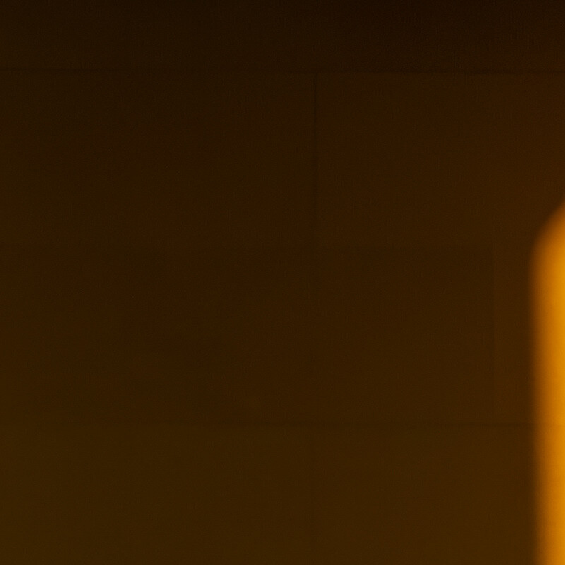 100% crop (corner) of a Sony a6000 RAW image processed with DxO PureRAW (DeepPRIME)