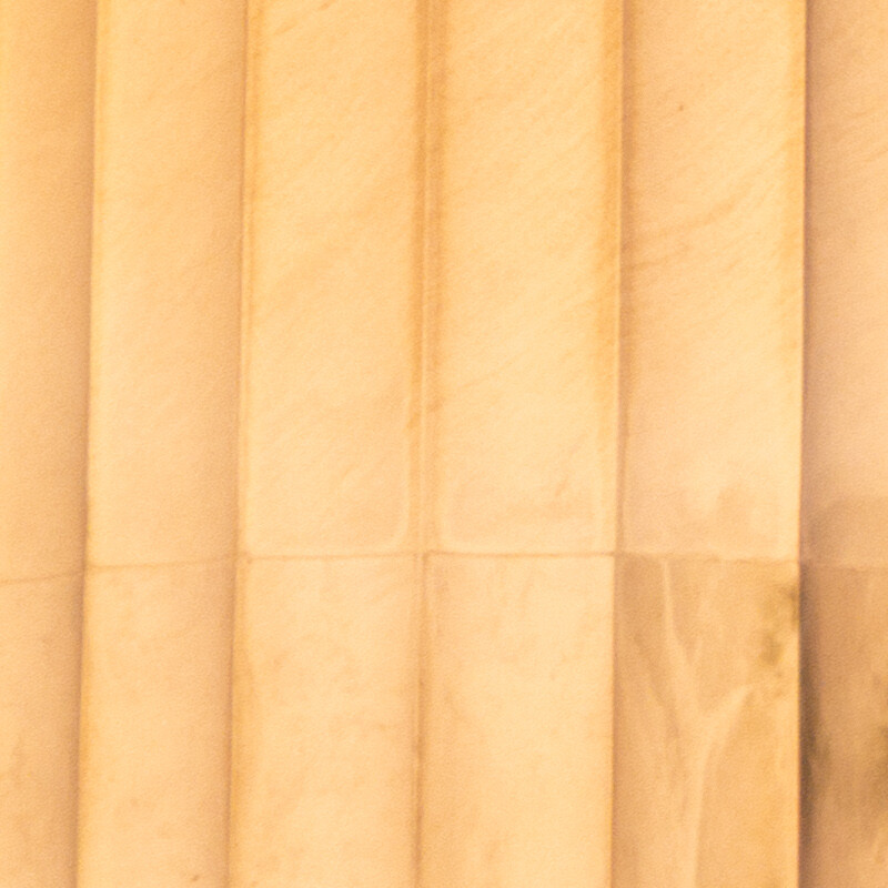 100% crop (detail) of a Sony a6000 RAW image before DxO PureRAW processing
