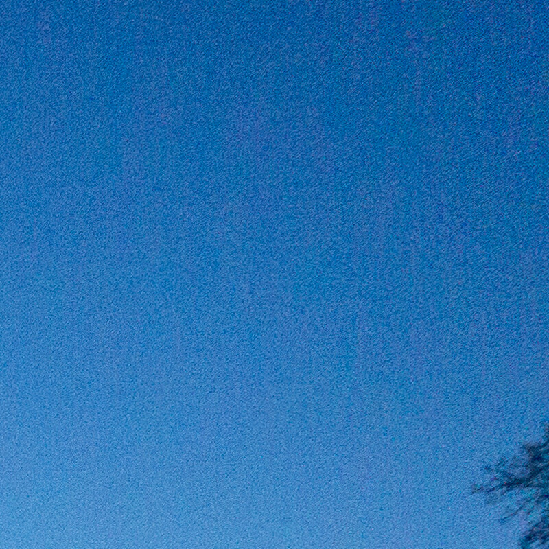 100% crop (corner) of a Sony a6000 RAW image before DxO PureRAW processing