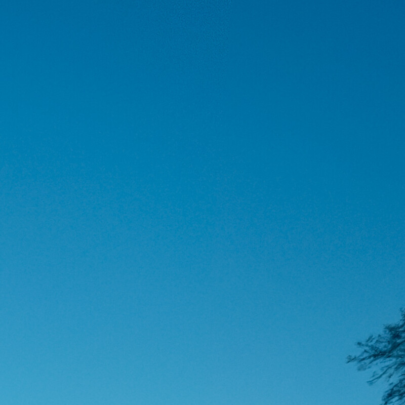 100% crop (corner) of a Sony a6000 RAW image processed with DxO PureRAW (DeepPRIME)