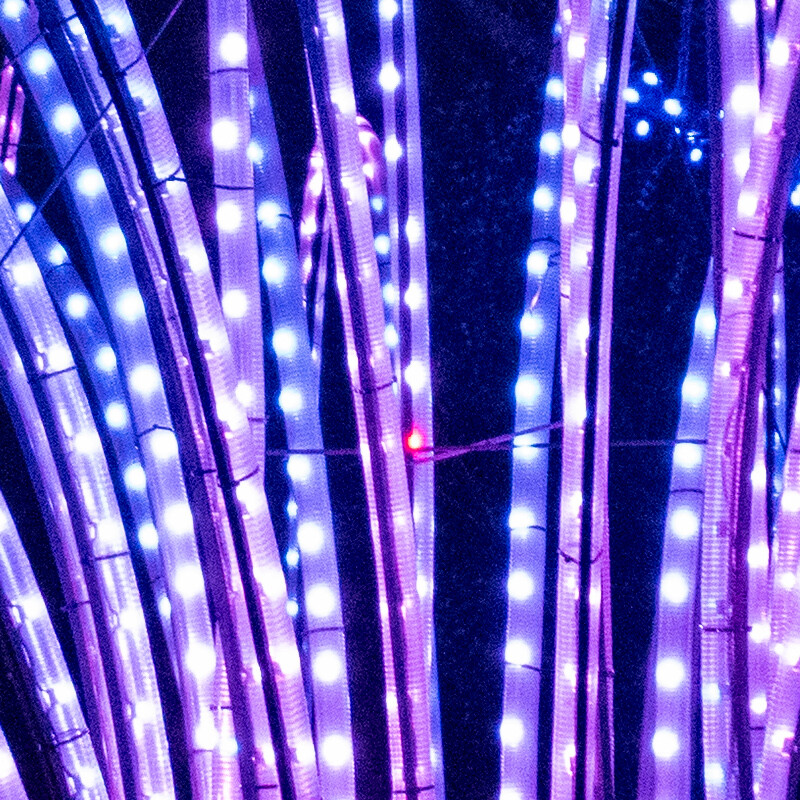 100% crop (center) of a Nikon D3500 RAW image before DxO PureRAW processing