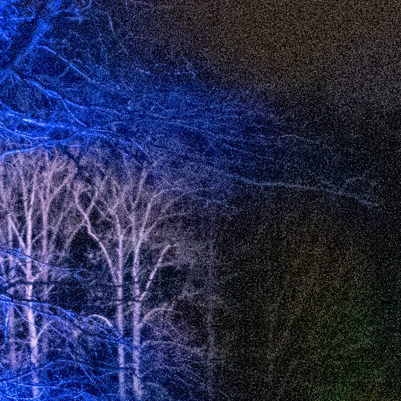 100% crop (center) of a Nikon D3500 RAW image before DxO PureRAW processing