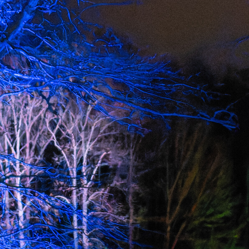 100% crop (center) of a Nikon D3500 RAW image processed with DxO PureRAW (DeepPRIME)