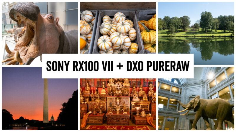 Here’s a Great Way to Get Cleaner Photos From Your Sony RX100 VII