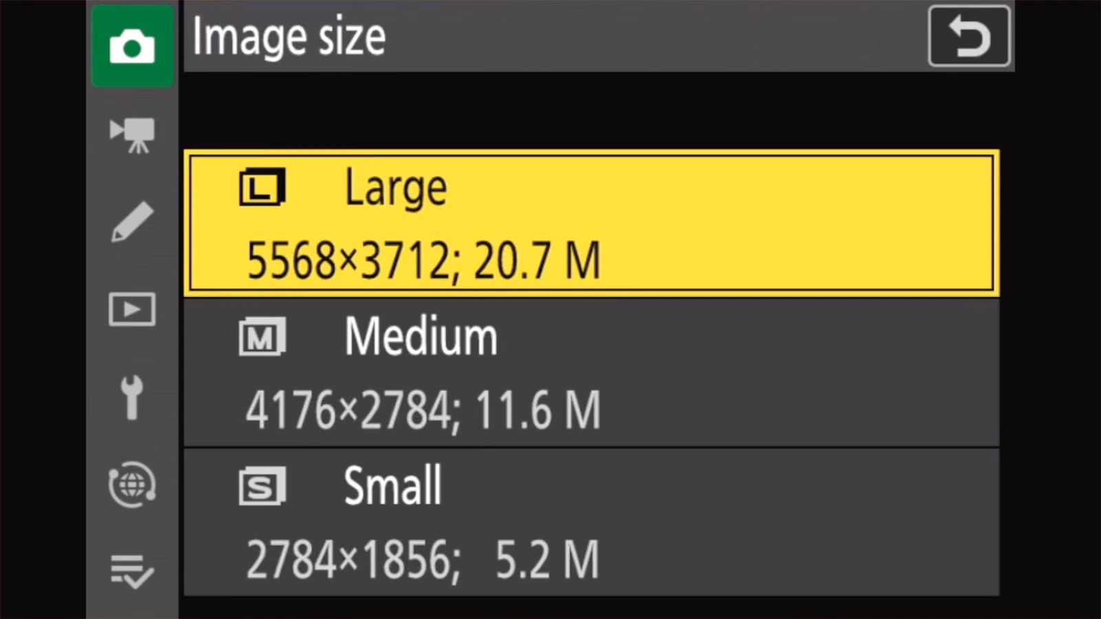 Nikon Z50 II Image size options: Large 5568x3712, Medium 4176x2784, Small 2784x1856