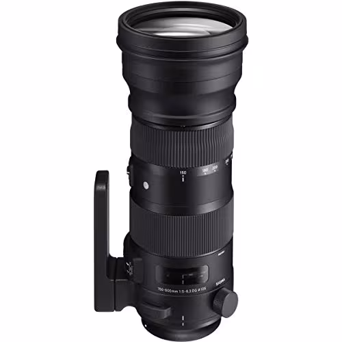 Sigma 150-600mm F5-6.3 DG OS HSM | S Lens